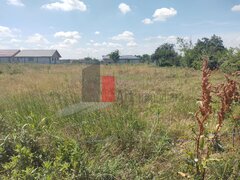 Dobreni, Giurgiu, vanzare 2 loturi de casa