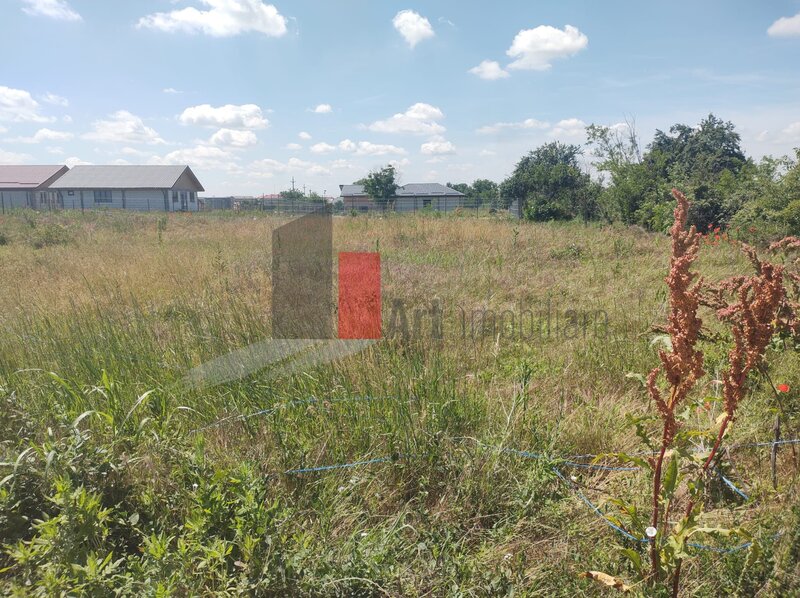 Dobreni, Giurgiu, vanzare 2 loturi de casa,