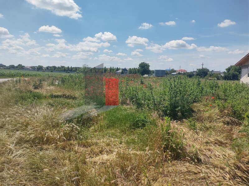 Dobreni, Giurgiu, vanzare 2 loturi de casa,