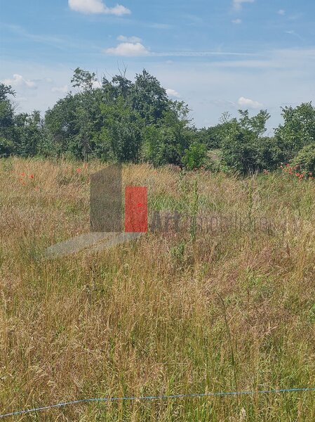 Dobreni, Giurgiu, vanzare 2 loturi de casa,